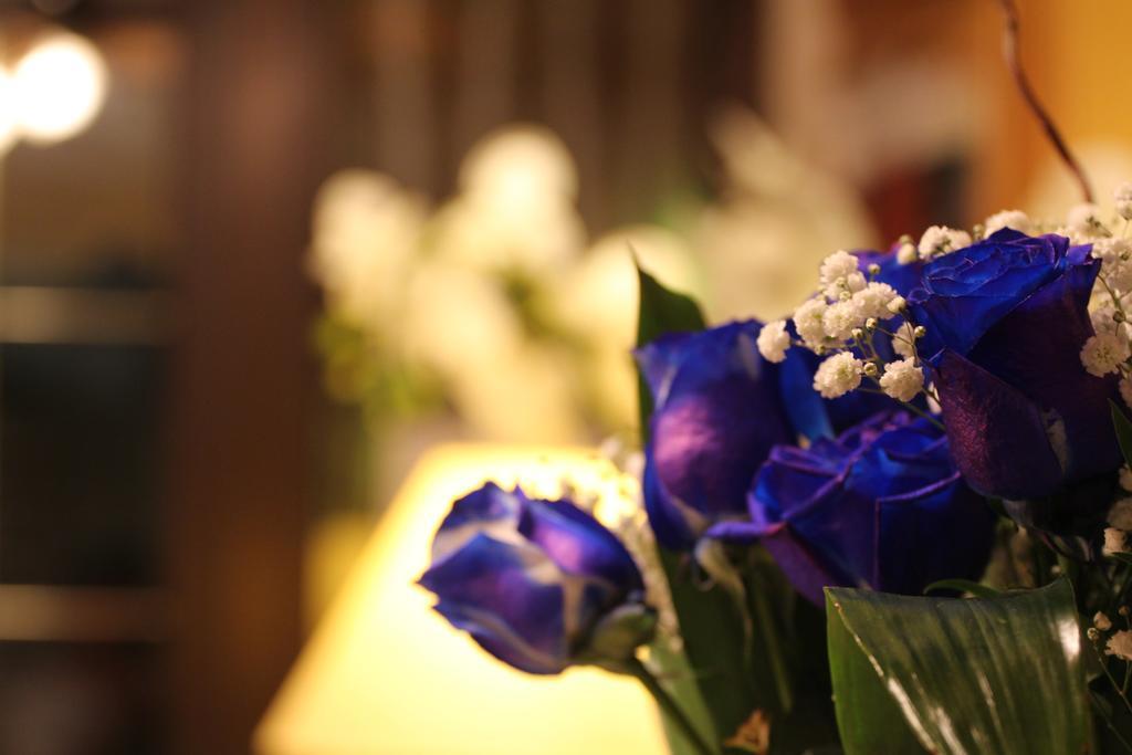 Hotel Aurora Vallarsa Ngoại thất bức ảnh